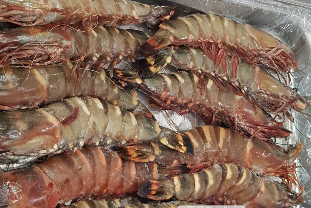 Crevettes 16/20