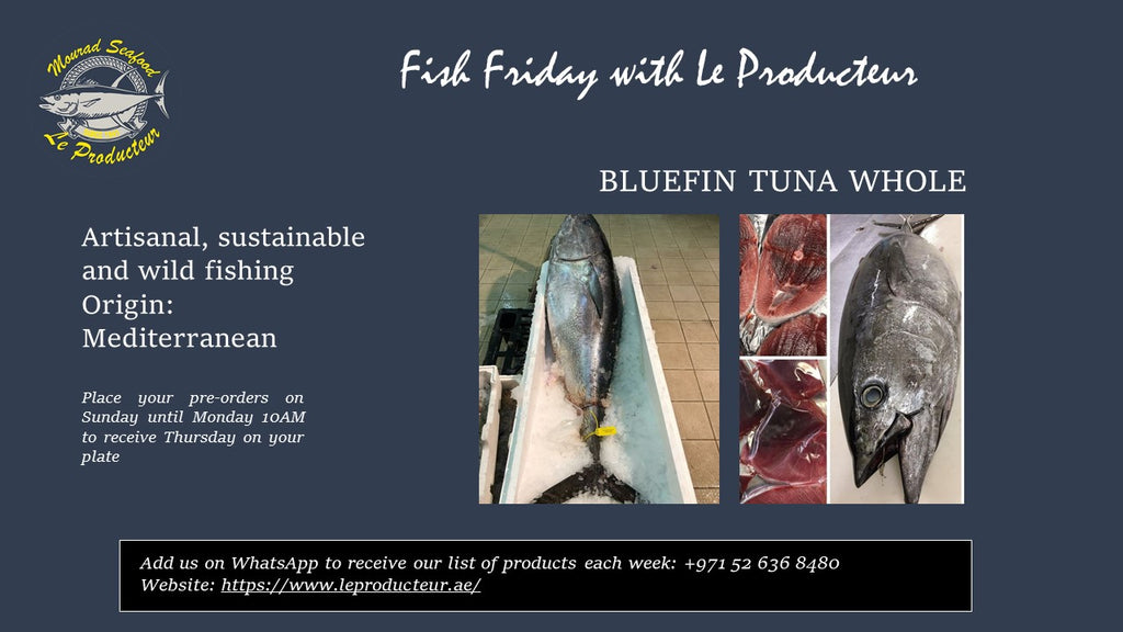 Bluefin Tuna Whole