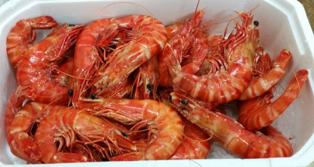 Prawns Cooked