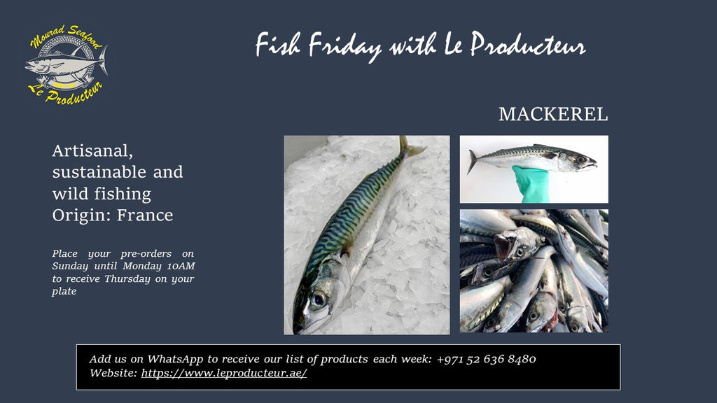 Mackerel