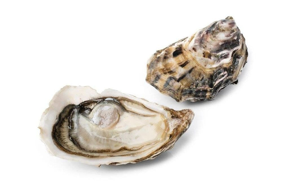 Oysters St Vaast