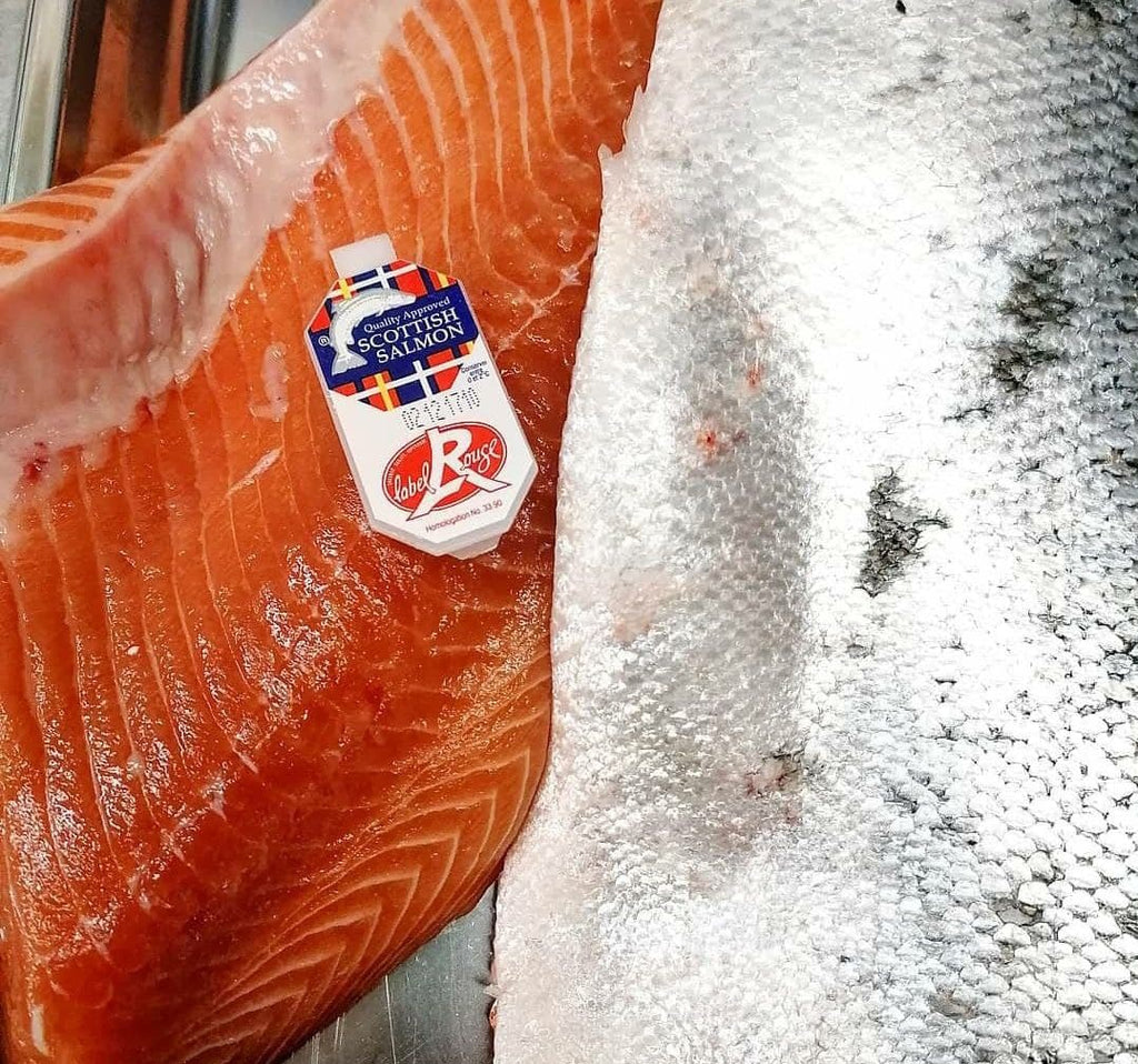 Salmon From Scotland