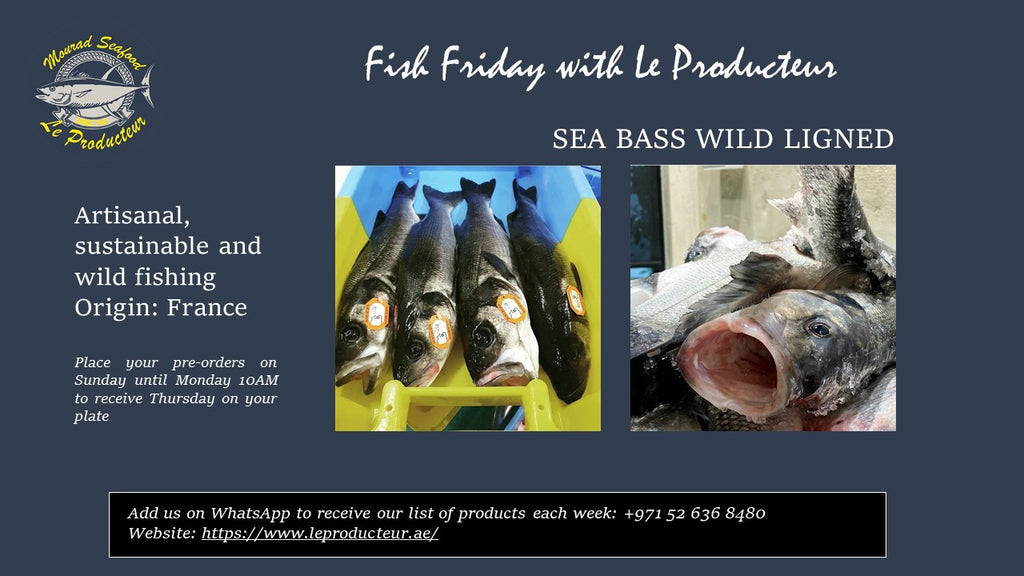 Fresh Sea Bass Wild